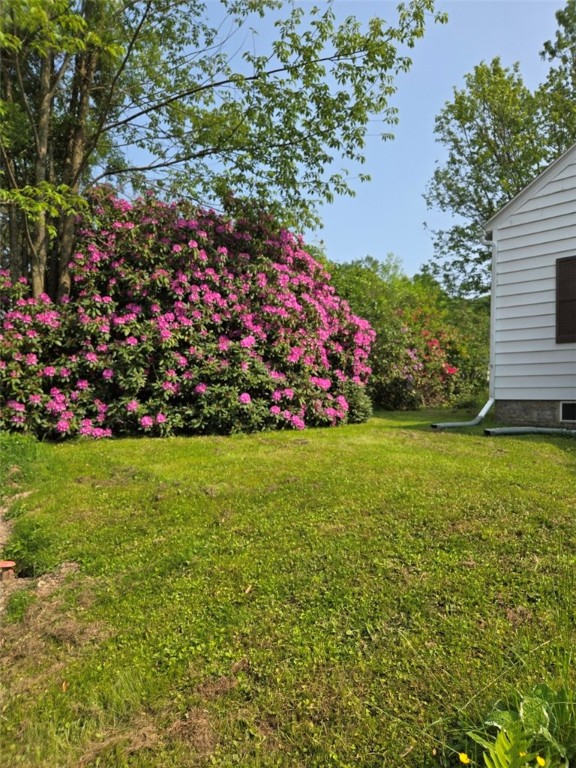 30 Park Avenue, Eldred, Pennsylvania image 33