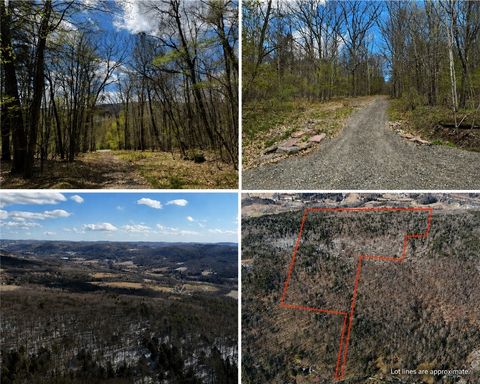 Photo of 0 Patent Line Road, Sidney, NY 13838 (MLS # R1678199)