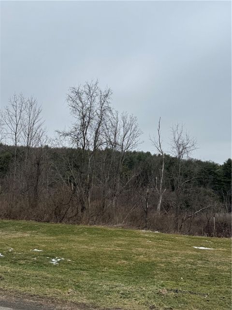 Photo of 186 Diamond Valley Road, Tioga, NY 13734 (MLS # R1667949)