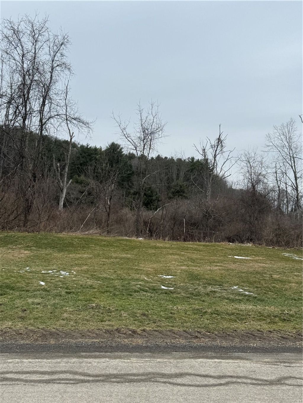 Photo of 186 Diamond Valley Road, Tioga, NY 13734 (MLS # R1667949)
