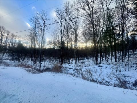 Vacant Land For Sale - 100 Balantic Hill Road<br/> Otsego County, Laurens, NY 13796