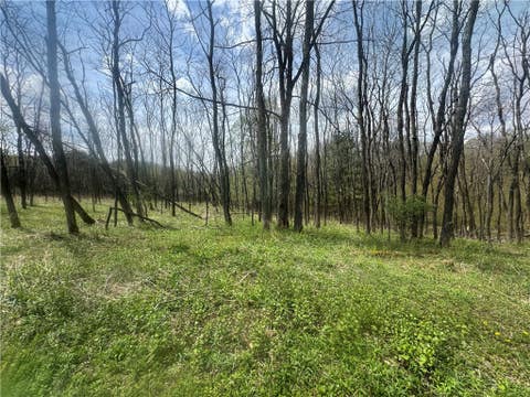 Vacant Land For Sale - 100 Balantic Hill Road<br/> Laurens, NY 13796