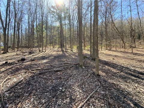 Vacant Land For Sale - Fitzgerald Road<br/> Hector, NY 14818