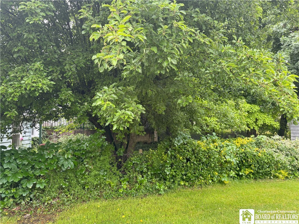 162 Sturges Street, Jamestown, New York image 50