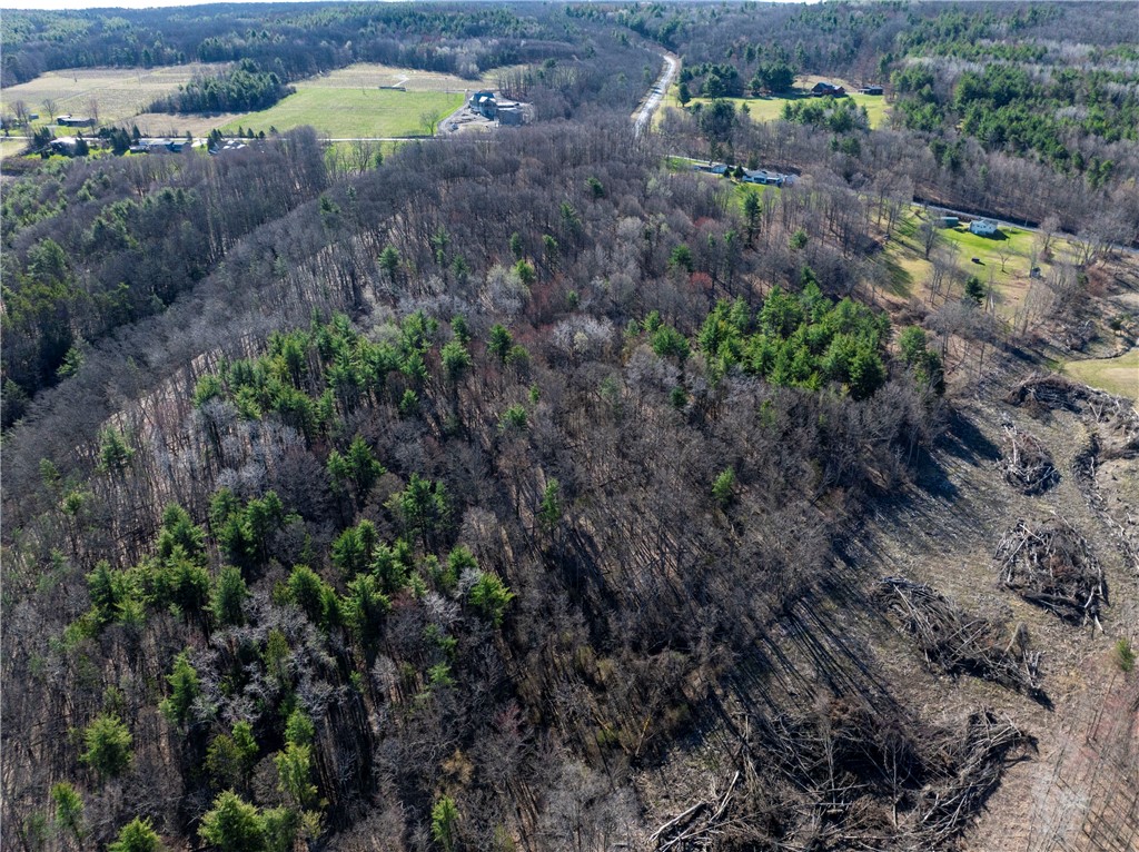 County Route 87 Road