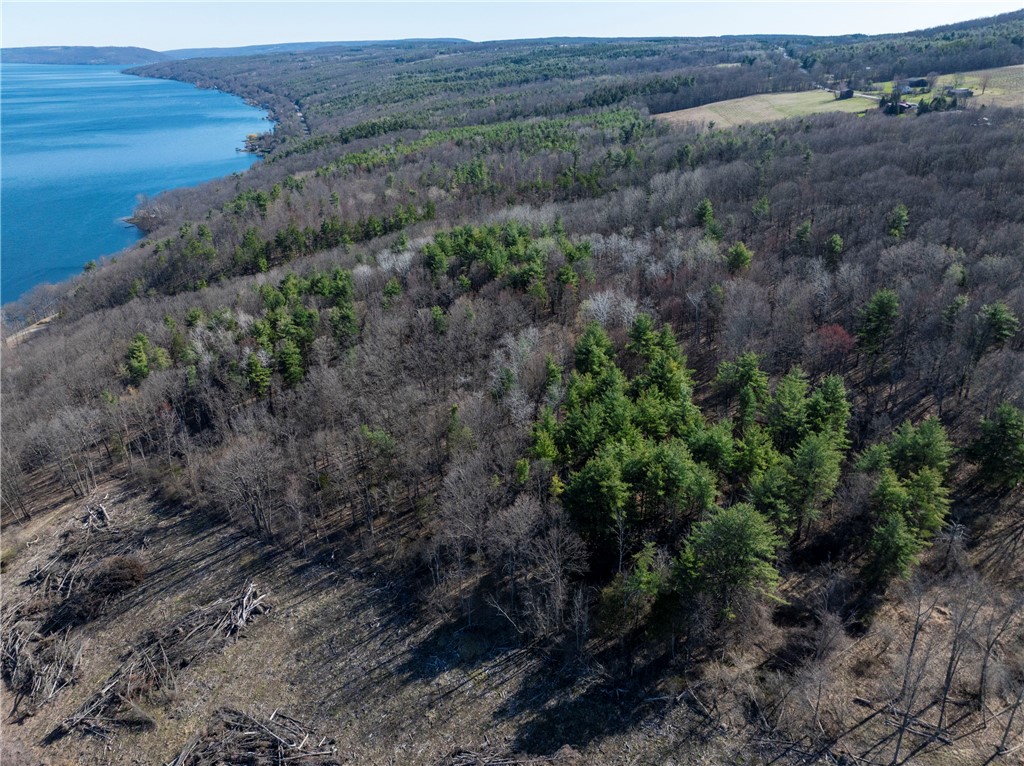 County Route 87 Road