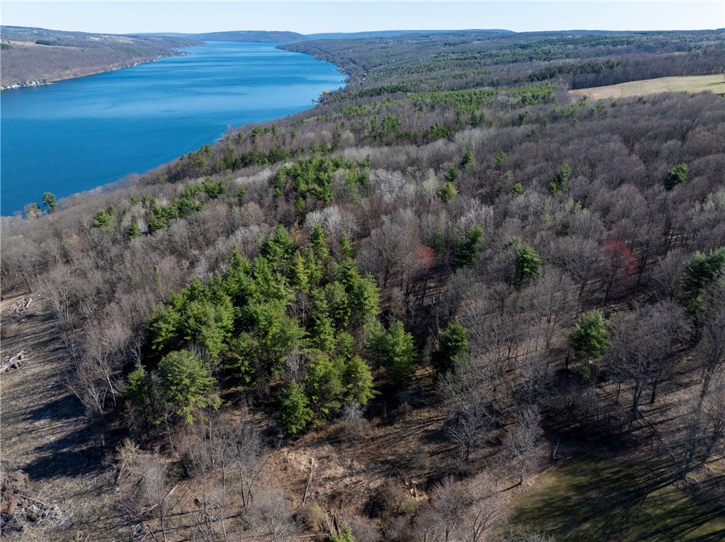 County Route 87 Road