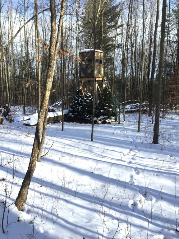 243 Haney Road, Otego, New York image 33