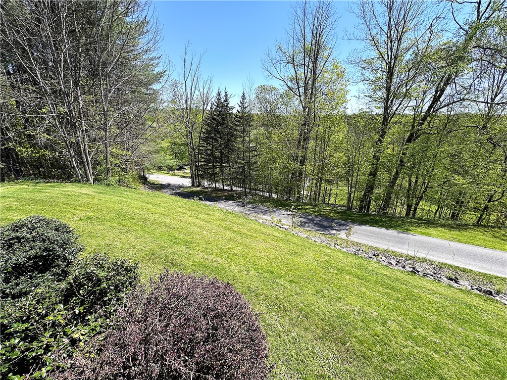 243 Haney Road, Otego, New York image 7