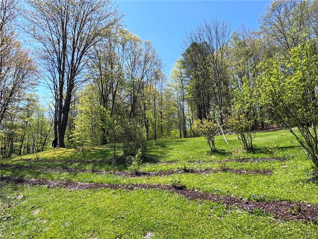 243 Haney Road, Otego, New York image 27