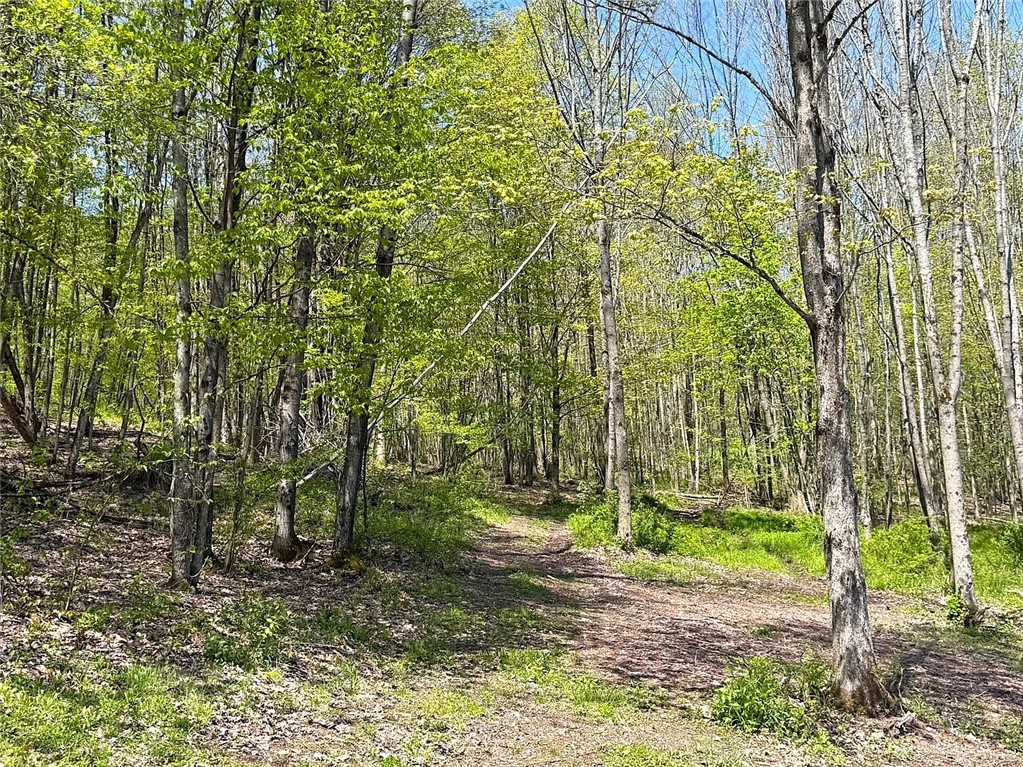 243 Haney Road, Otego, New York image 8