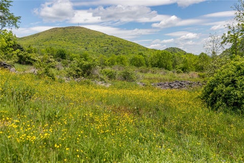 Tiny photo for 222 Upper Gorge View Lane, Roxbury, NY 12474 (MLS # R1689191)