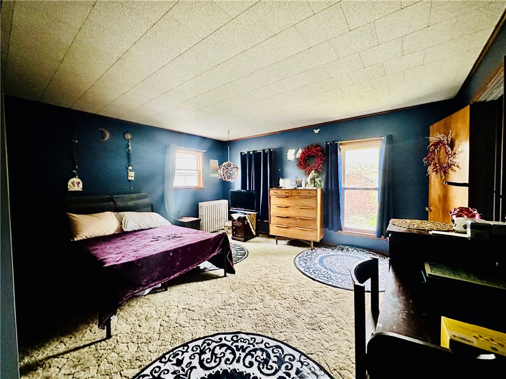 121 E William Street, Bath, New York image 17