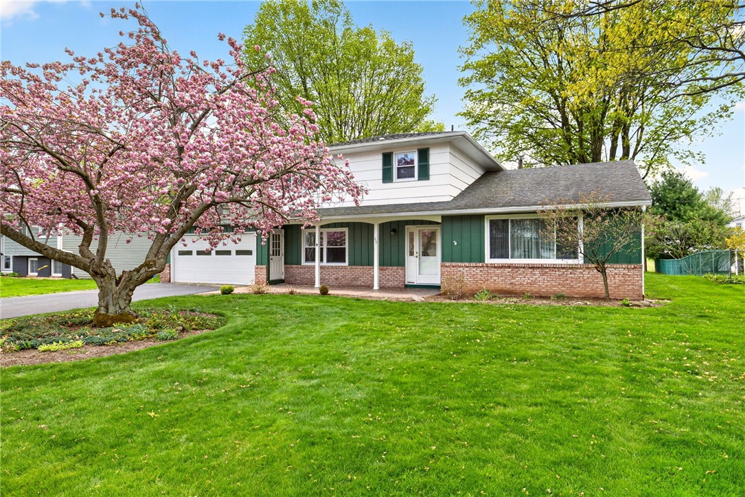 237 Pine Valley Drive