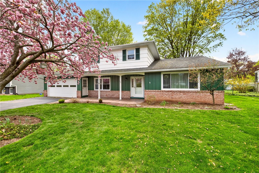 237 Pine Valley Drive