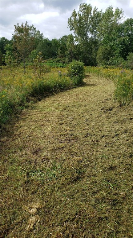Cr-21
