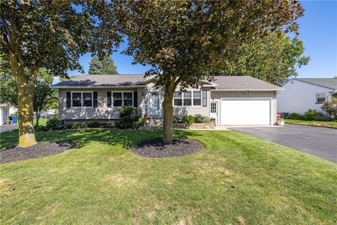 Photo for 8 Nile Drive