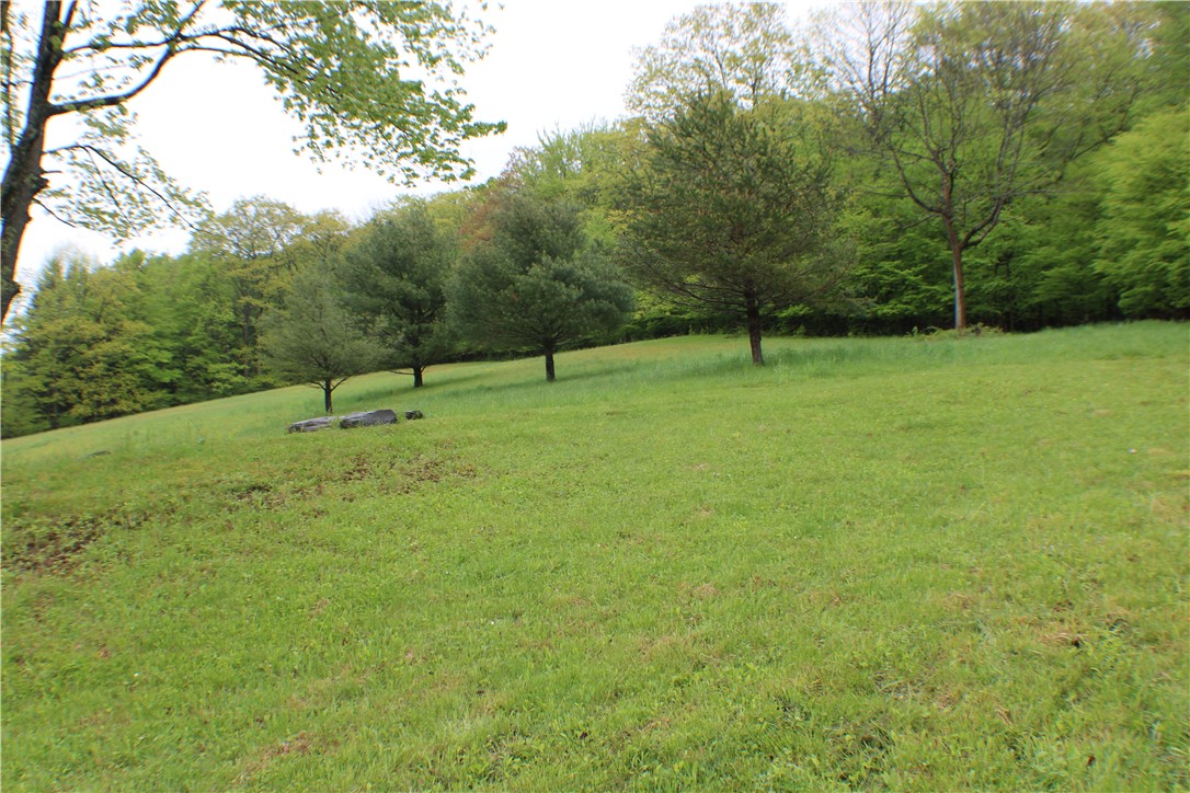 2072 Frank Slawson Road, Davenport, New York image 24