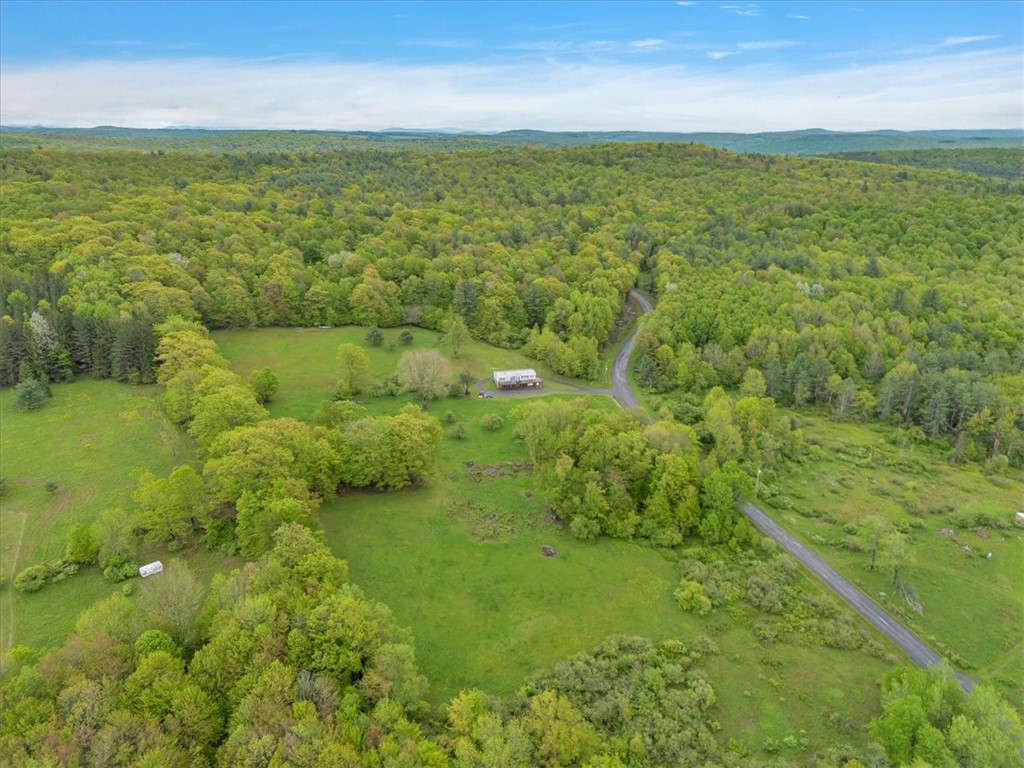 2072 Frank Slawson Road, Davenport, New York image 2