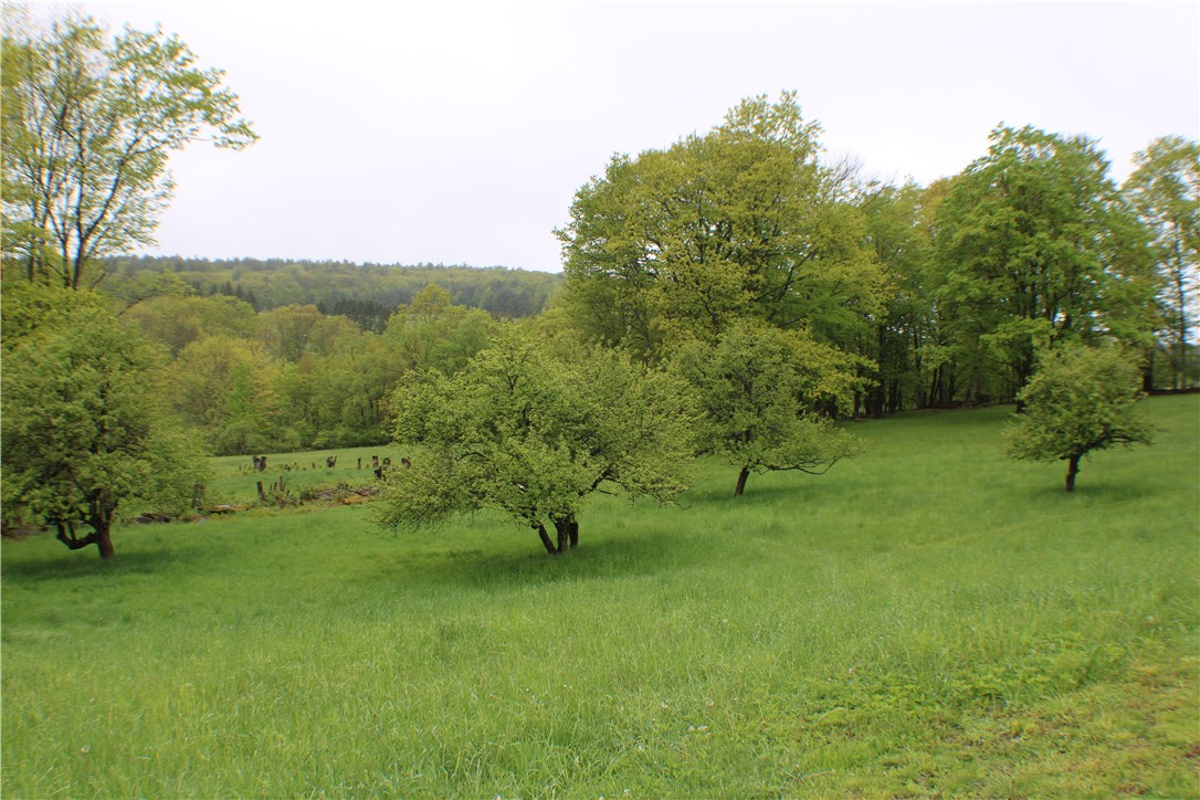 2072 Frank Slawson Road, Davenport, New York image 5