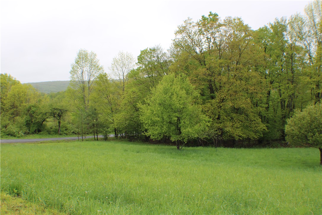 2072 Frank Slawson Road, Davenport, New York image 6