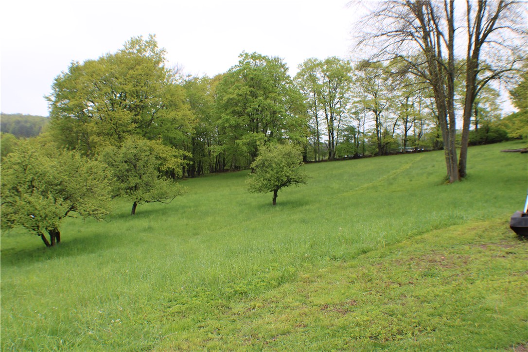 2072 Frank Slawson Road, Davenport, New York image 4