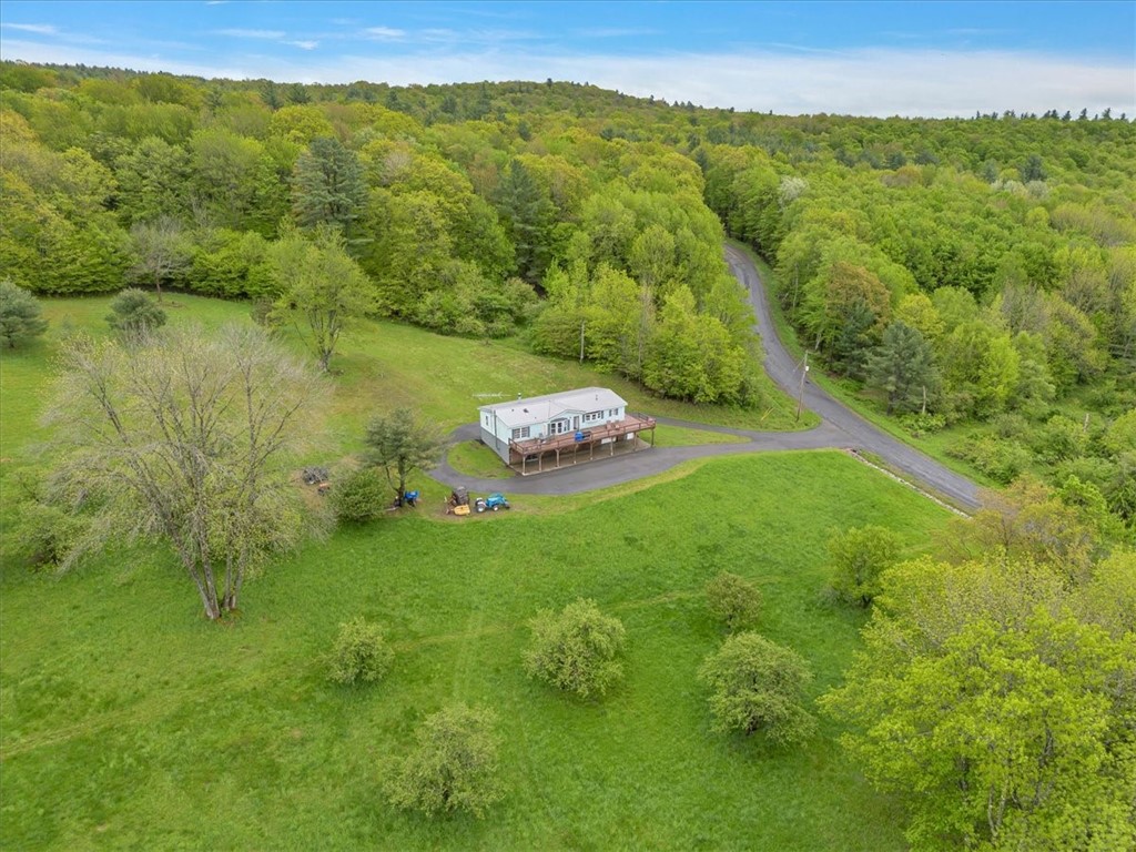 2072 Frank Slawson Road, Davenport, New York image 25