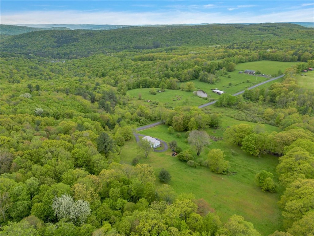 2072 Frank Slawson Road, Davenport, New York image 8