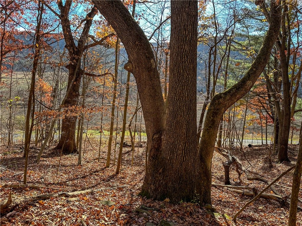 Photo of VL Lot 2 Hathaway Hill Rd, Canisteo, NY 14823 (MLS # R1666469)