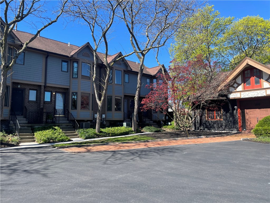 397 Alexander Street UN17