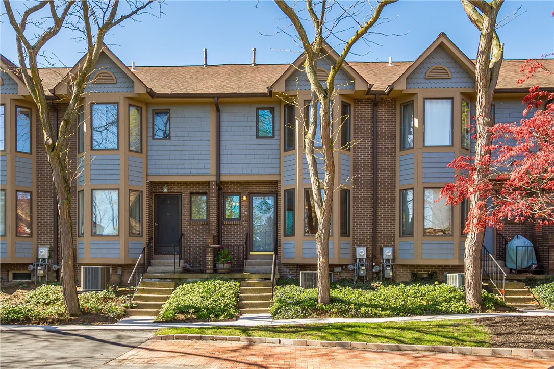 397 Alexander Street UN17