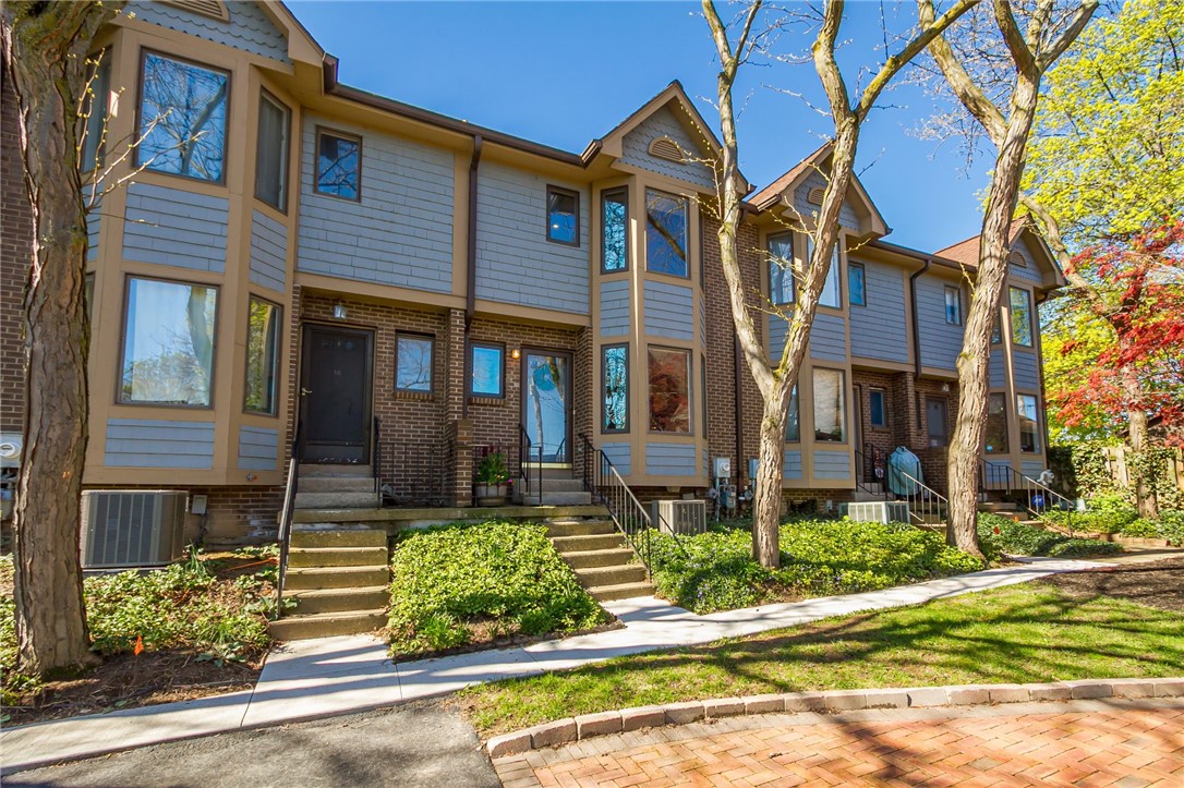 397 Alexander Street UN17