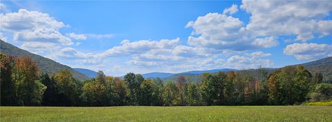 Vacant Land For Sale - 161 N Montgomery Hollow Road<br/> Roxbury, NY 12474