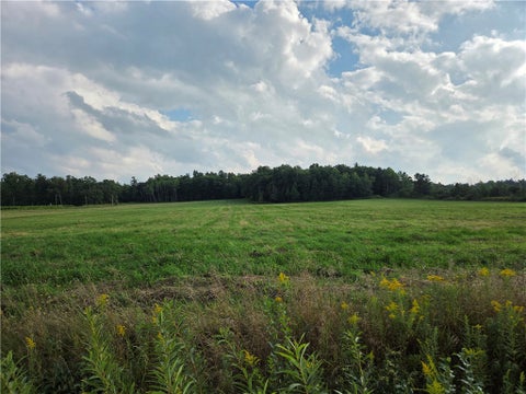 Vacant Land For Sale - Ford Road<br/> Pulteney, NY 14874