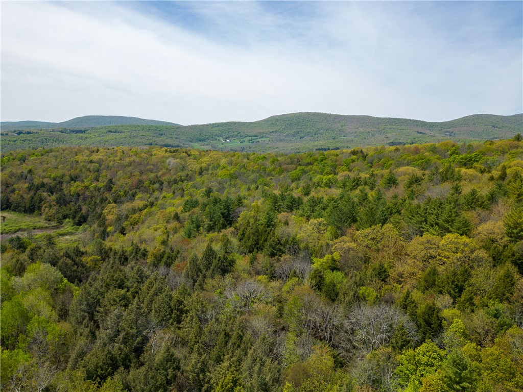 225 Woodland Drive #33-9, Roxbury, New York image 22