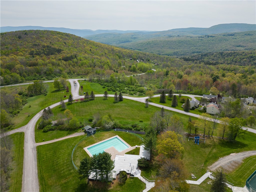 225 Woodland Drive #33-9, Roxbury, New York image 24