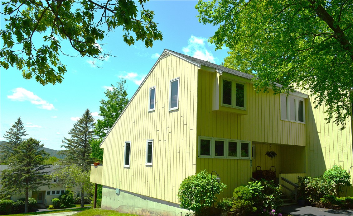 225 Woodland Drive #33-9, Roxbury, New York image 1
