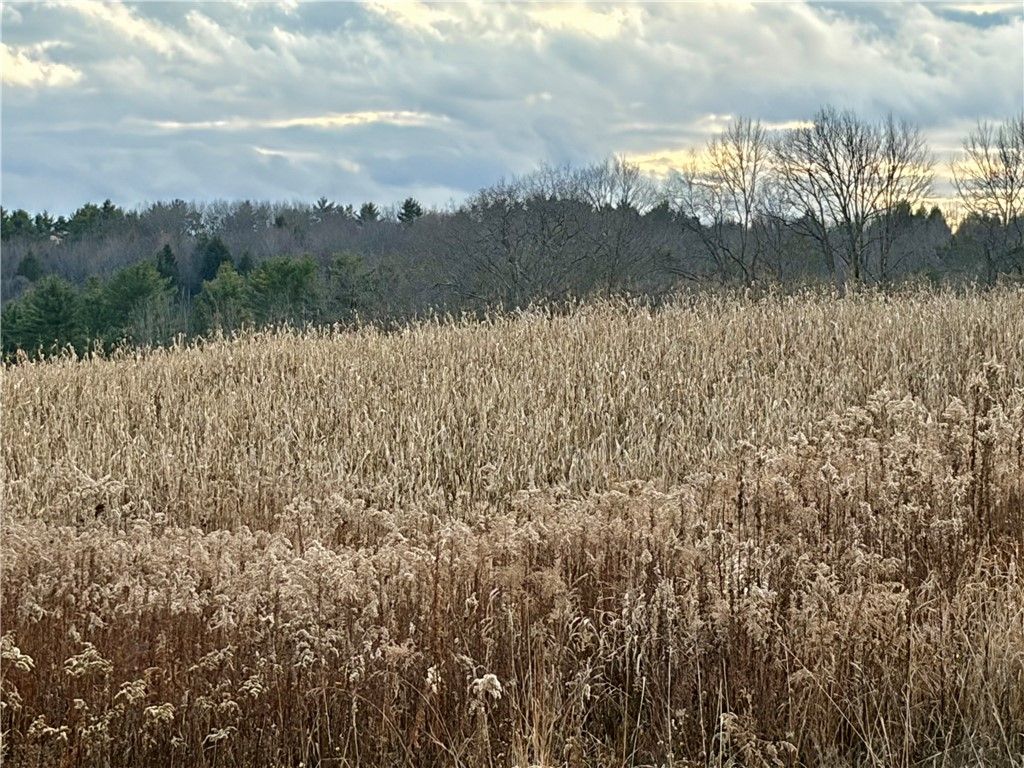 Photo of 181 Short Crumhorn Road, Maryland, NY 12116 (MLS # R1652580)