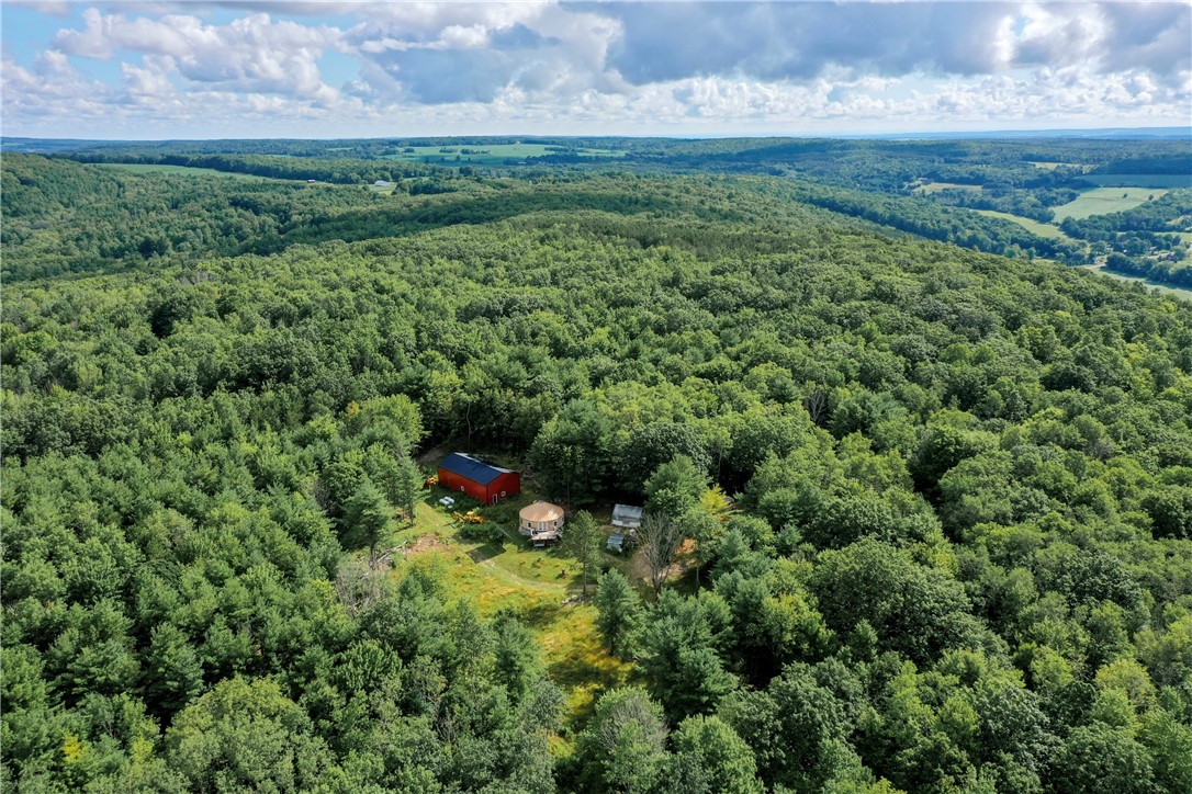 10565 Van Neel Trail, Prattsburgh, New York image 2