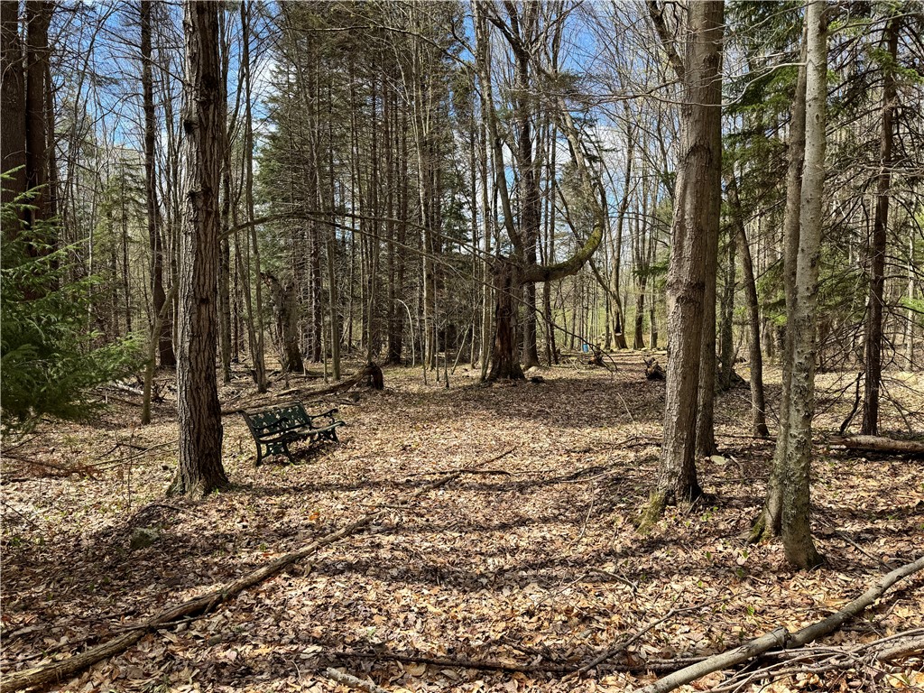 575 Harper Road, Harpersfield, New York image 45