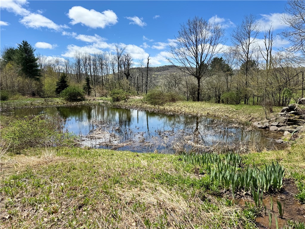 575 Harper Road, Harpersfield, New York image 44