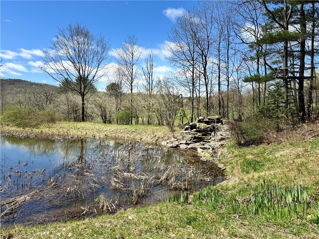 575 Harper Road, Harpersfield, New York image 43