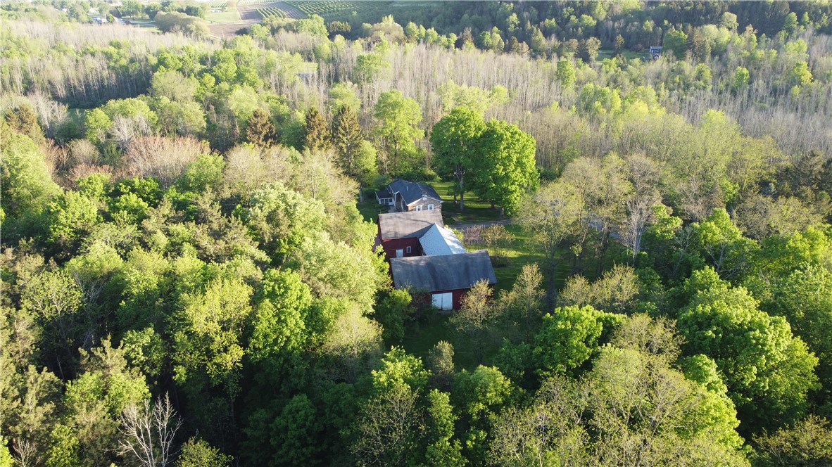4482 Cory Corners Road, Marion, New York image 48