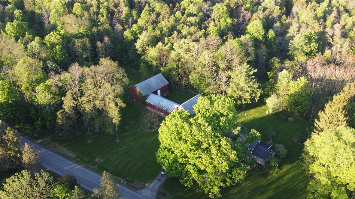 4482 Cory Corners Road, Marion, New York image 49