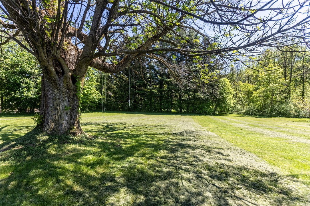 5522 State Route 14, Sodus, New York image 49