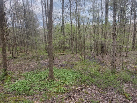 Vacant Land For Sale - Clarence Church Road<br/> Otselic, NY 13155