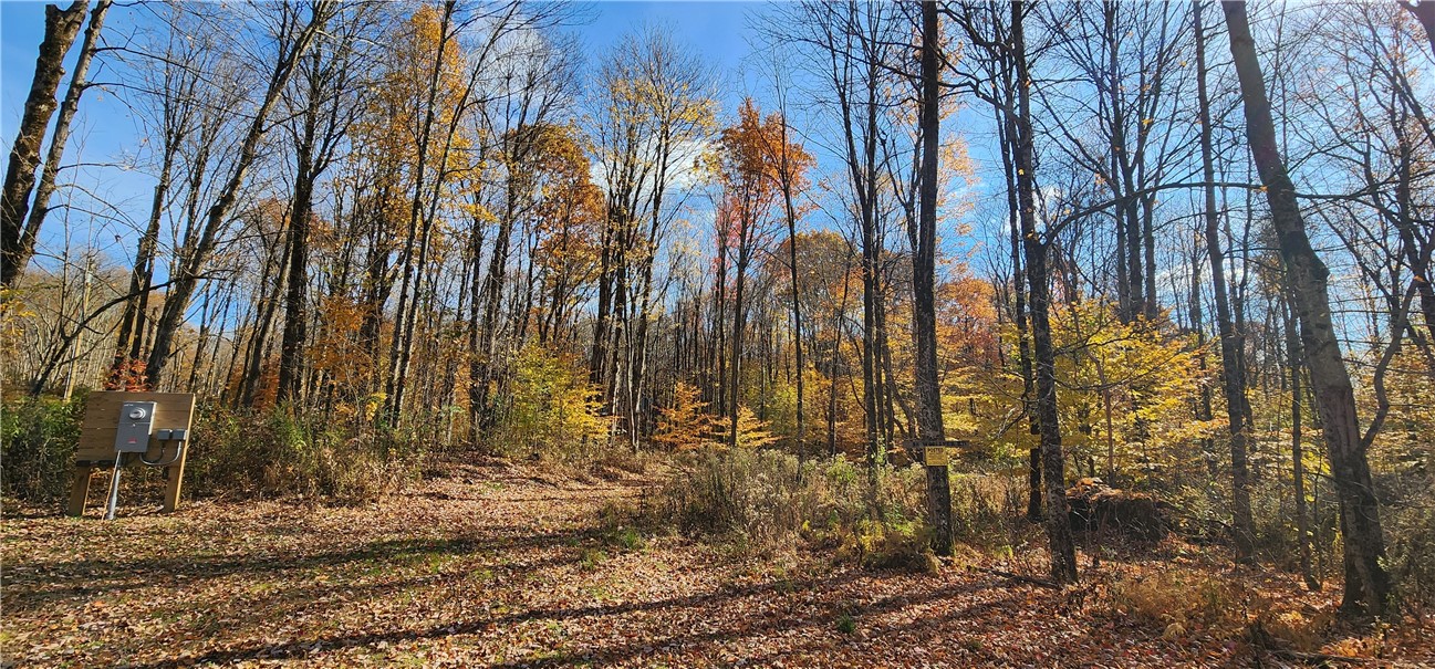 98 Wooliver Road, Orwell, New York image 4