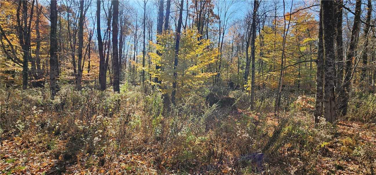 98 Wooliver Road, Orwell, New York image 2