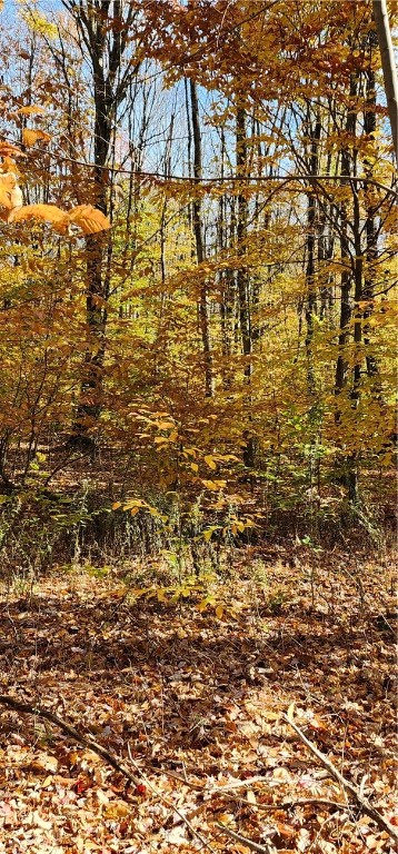 98 Wooliver Road, Orwell, New York image 7