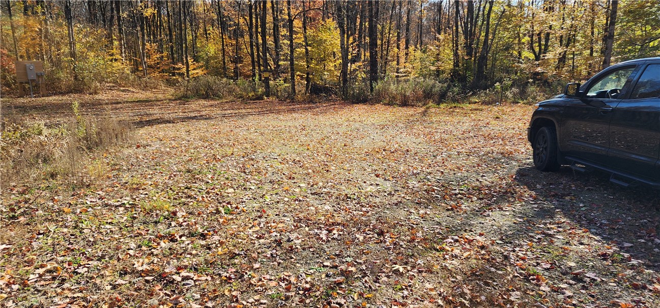 98 Wooliver Road, Orwell, New York image 3